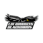 LIU Brooklyn