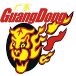 Guangdong Hongyuan
